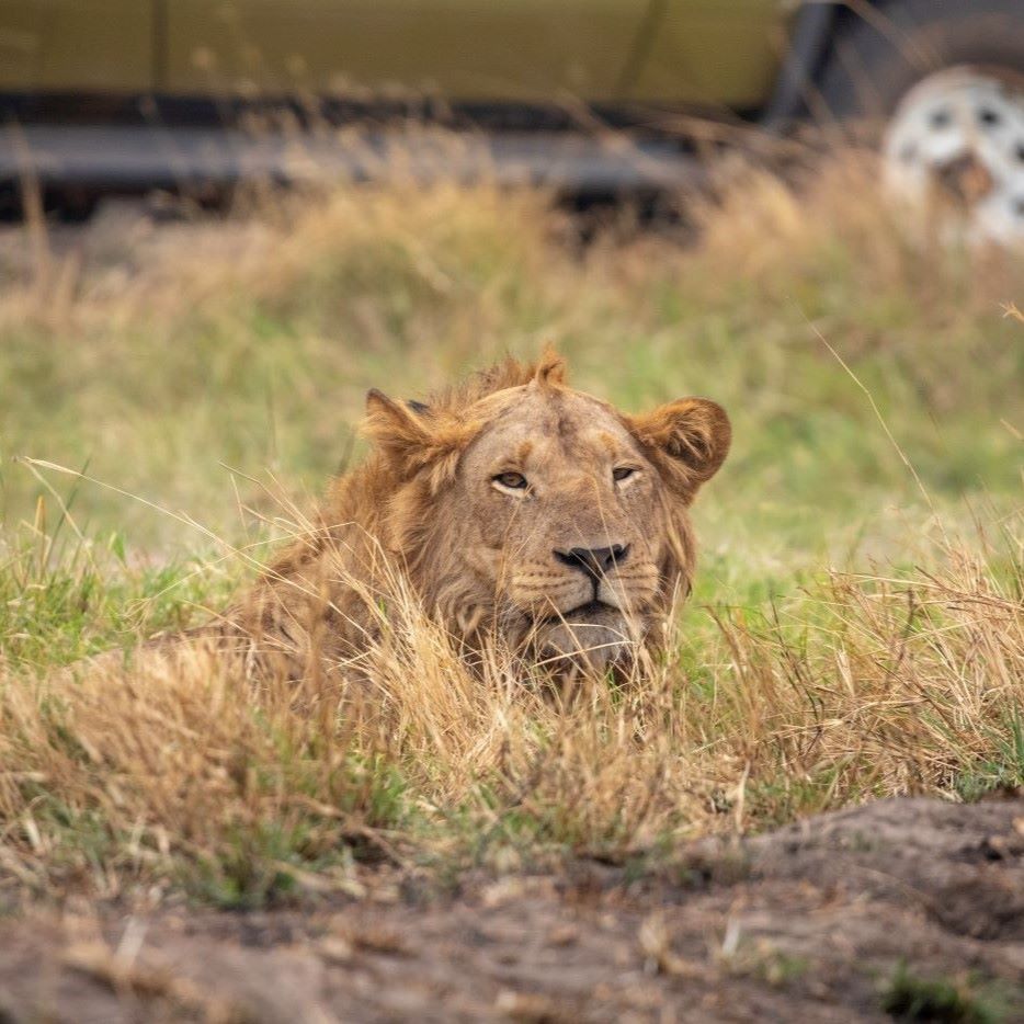 A journey to kenya is a step back in time to a world inhabited by characters that are larger than life, from famed explorers and big game hunters to presidents and hollywood stars.
