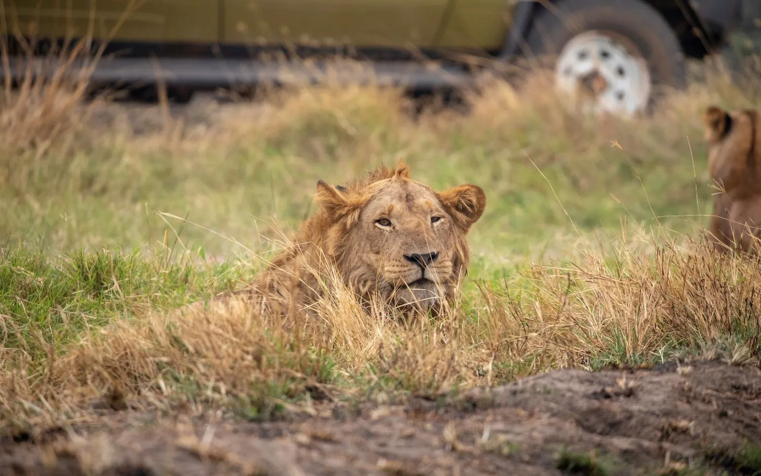 Benroso safaris began operations in Kenya in 2000 with a view of making Kenya and East Africa a memorable tourist destination. We are registered & Licensed Tour Operator company, members of KATO & Kenya Professional Safari Guides Association (KPSGA), we are committed to offering the best and most diverse services to meet your varying needs at very competitive prices while still being personalized. We are also represented on SafariBookings.com.